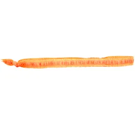 Neon Orange Headband